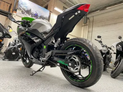 2015 Kawasaki Ninja 300