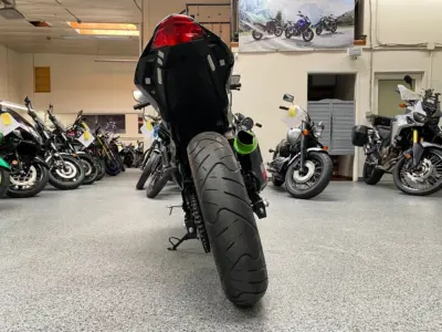2015 Kawasaki Ninja 300