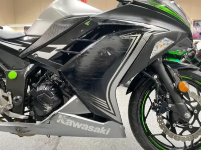 2015 Kawasaki Ninja 300