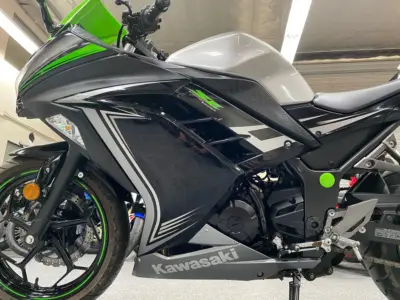2015 Kawasaki Ninja 300