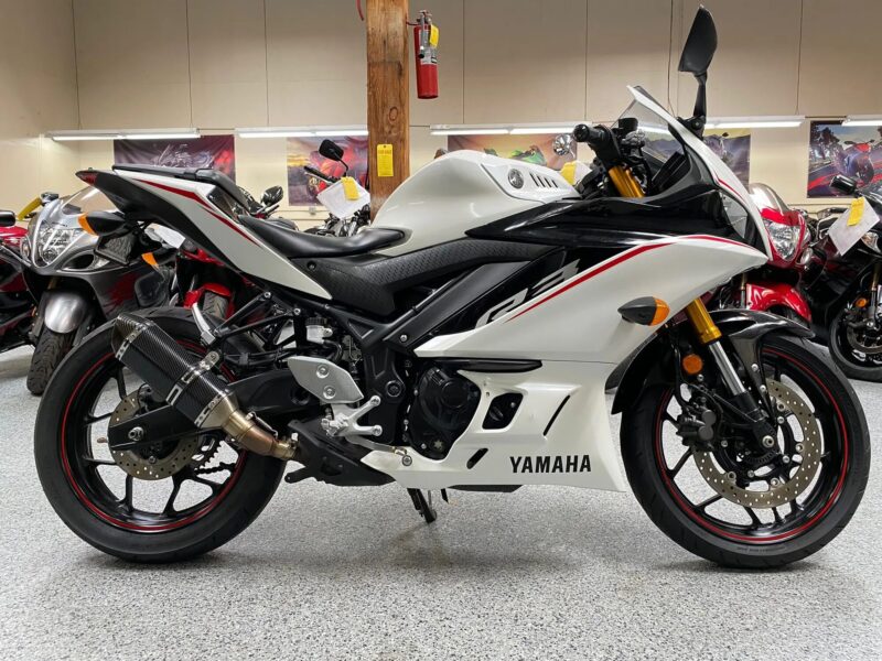 2019 Yamaha R3 ABS