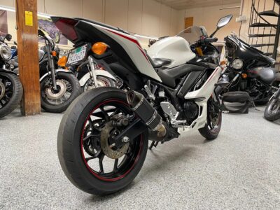 2019 Yamaha R3 ABS