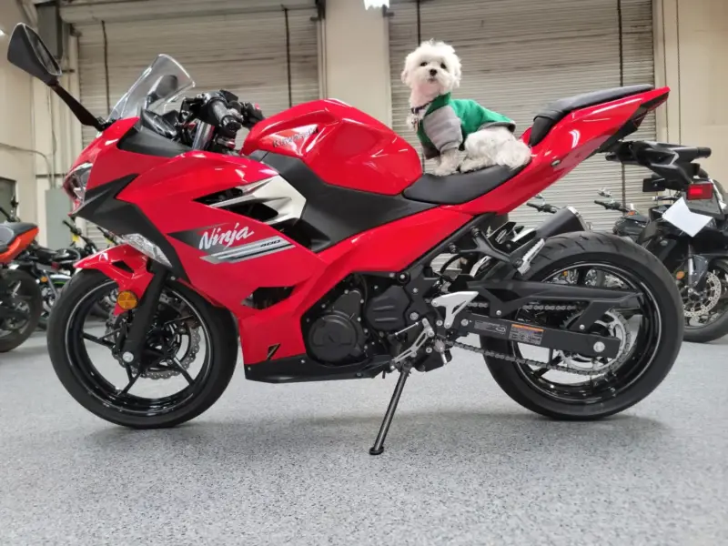 2021 Kawasaki Ninja 400