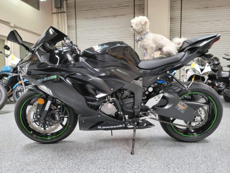 2019 Kawasaki Ninja 636 ZX6R