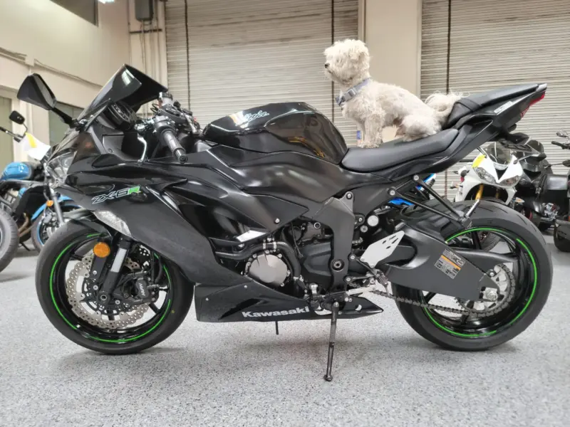 2019 Kawasaki Ninja 636 ZX6R