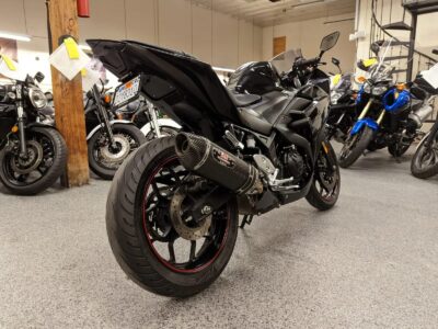2015 Yamaha R3