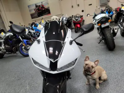 2015 Honda CBR600RR