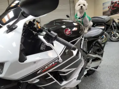 2015 Honda CBR600RR