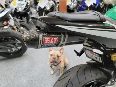 2015 Honda CBR600RR