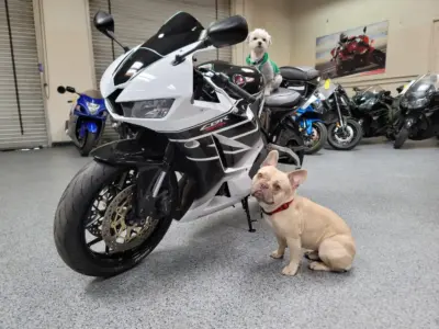2015 Honda CBR600RR