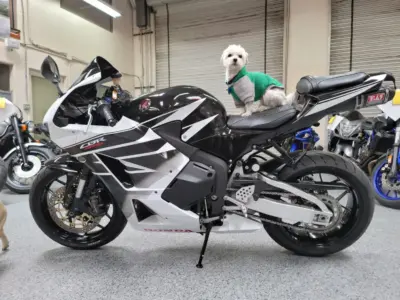2015 Honda CBR600RR