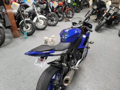 2015 Yamaha R6