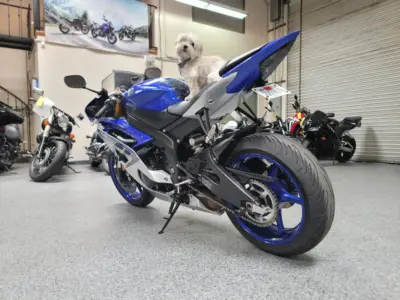 2015 Yamaha R6