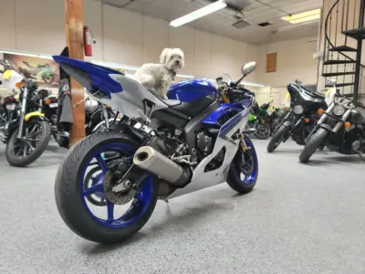 2015 Yamaha R6