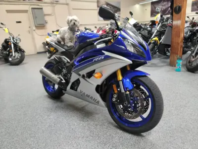 2015 Yamaha R6