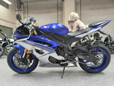 2015 Yamaha R6