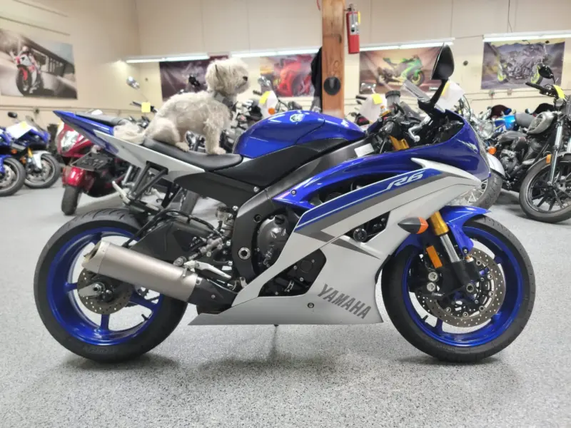 2015 Yamaha R6