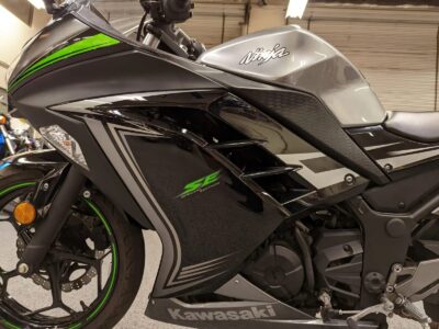 2015 Kawasaki Ninja 300 SPECIAL EDITION