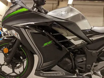 2015 Kawasaki Ninja 300 SPECIAL EDITION