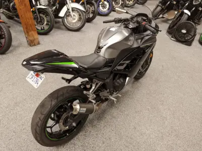 2015 Kawasaki Ninja 300 SPECIAL EDITION