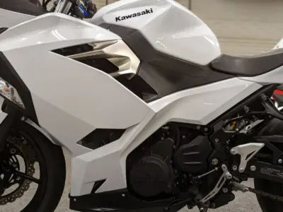 2020 Kawasaki Ninja 400