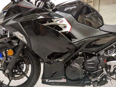 2019 Kawasaki Ninja 400