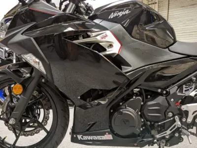 2019 Kawasaki Ninja 400