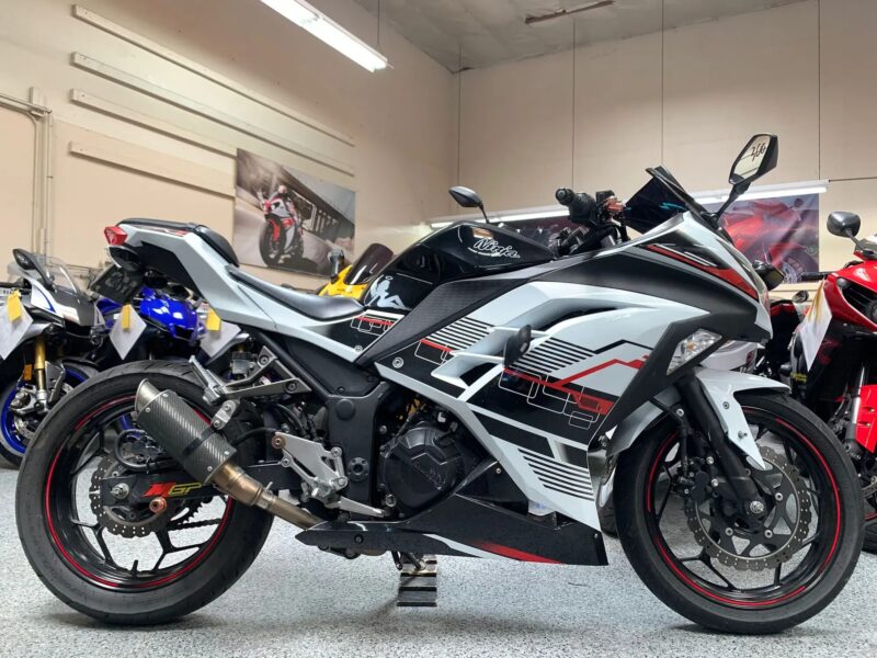 2014 Kawasaki Ninja 300 SPECIAL EDITION