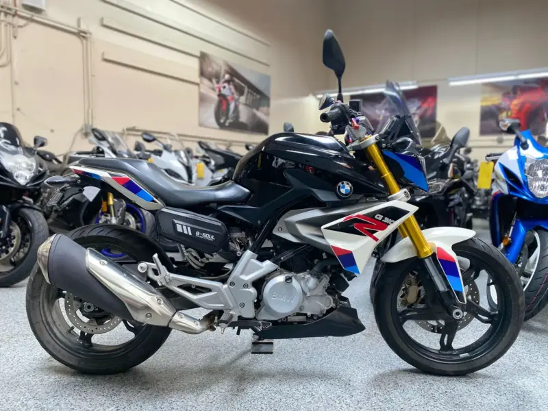 2019 BMW G310R  310 ABS