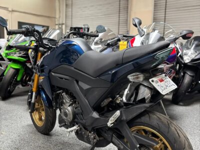 2023 Kawasaki Z125 Pro