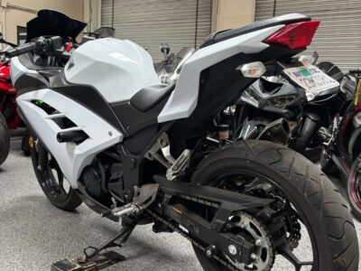 2017 Kawasaki Ninja 300 ABS