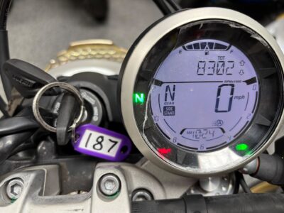 2022 Ducati Scrambler 800 Icon